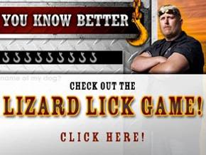 Lizard Store Banner